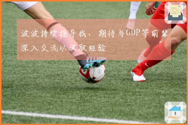 波波持续指导我，期待与GDP等前辈深入交流以汲取经验