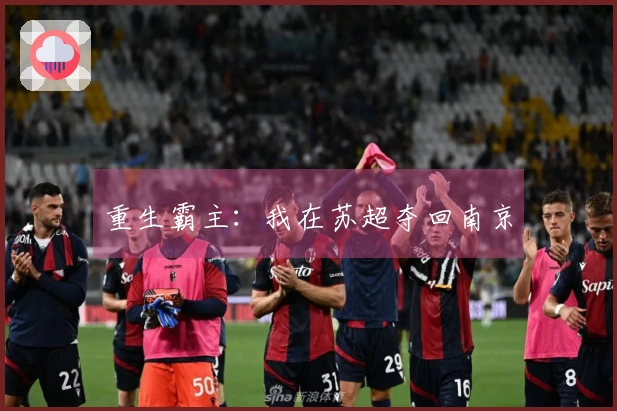 重生霸主：我在苏超夺回南京